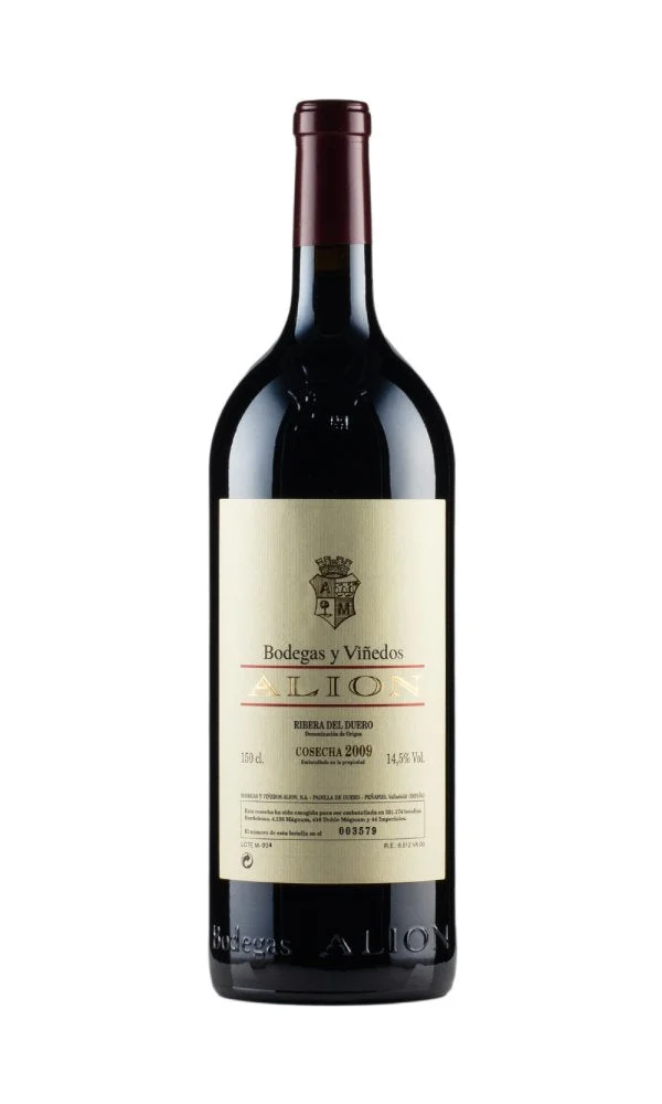 2009 | Vega Sicilia | Alion (Magnum) - Wine