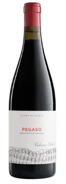2017 | Telmo Rodriguez | Pegaso Barrancos de Pizarra - Wine