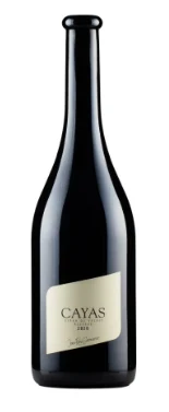 2020 | Jean-René Germanier | Reserva Syrah du Valais Cayas