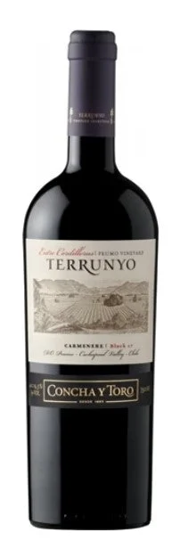 2017 | Concha y Toro | Terrunyo Carmenere - Wine