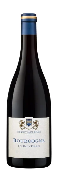 2016 | Domaine Thibault Liger-Belair | Borgoña Les Deux Terres