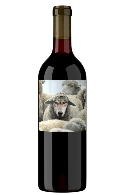 2019 | In Sheep's Clothing | Cabernet Sauvignon - Wine