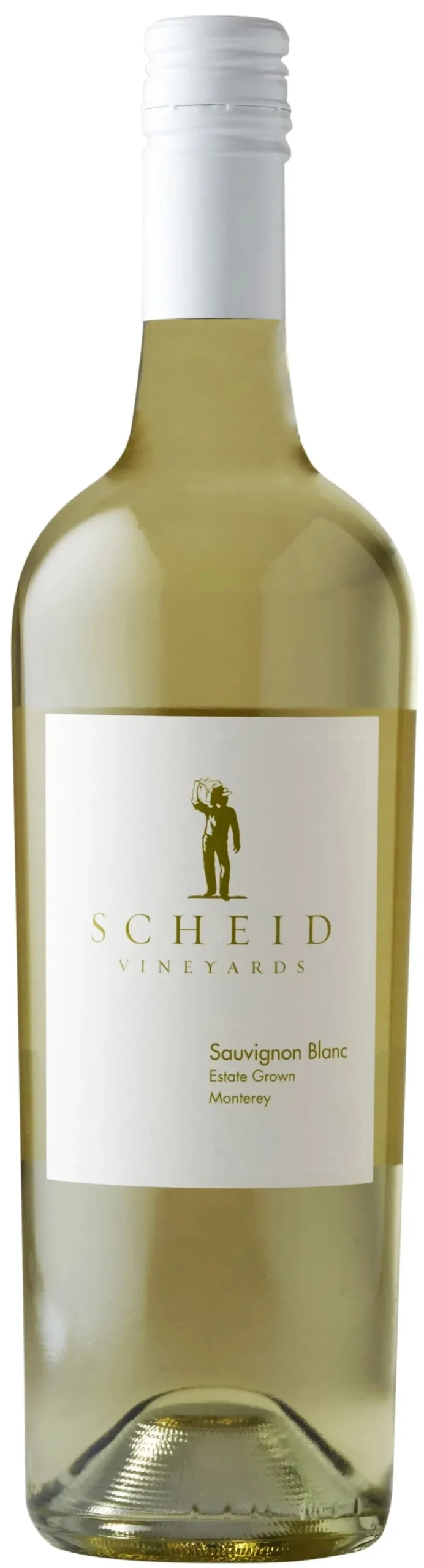 Scheid Family Wines | Sauvignon Blanc - NV