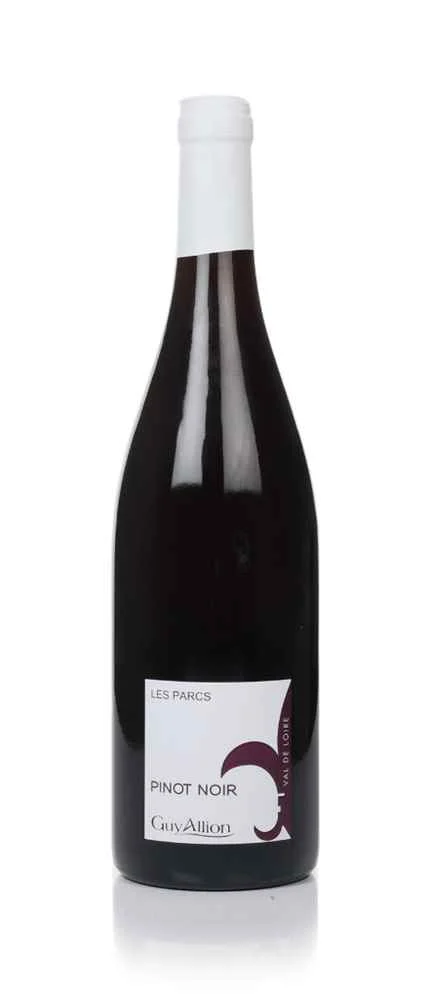 2020 | Domaine Guy Allion | Les Parcs Pinot Noir - Wine