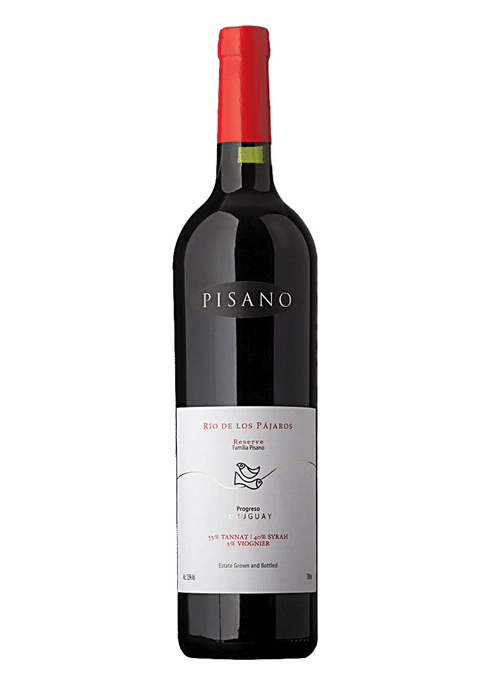 Pisano Tannat Syrah Viognier Rio de Los Pajaros Wine