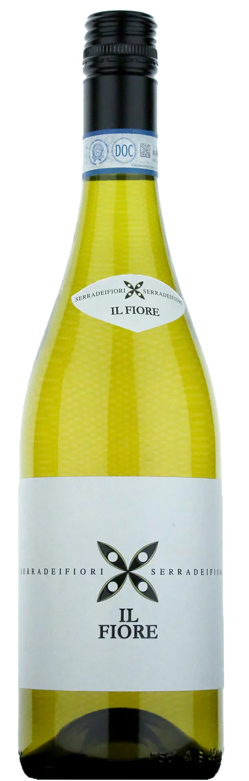 2020 | Giacomo Bologna Braida | Il Fiore Serra dei Fiori Langhe - Wine