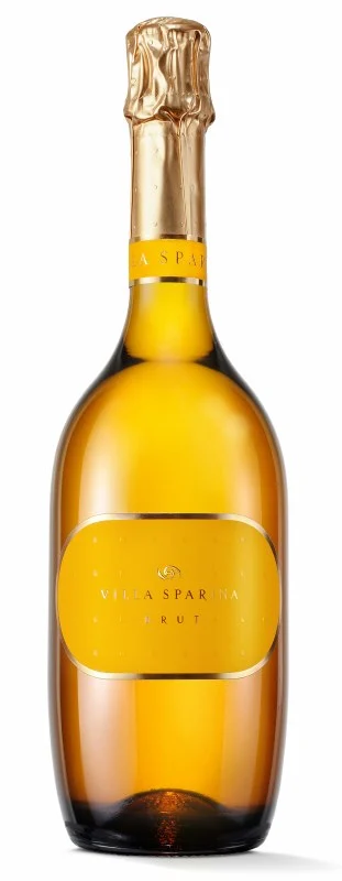 Hacienda Agrícola Villa Sparina | Gavi Método Classico Brut - NV