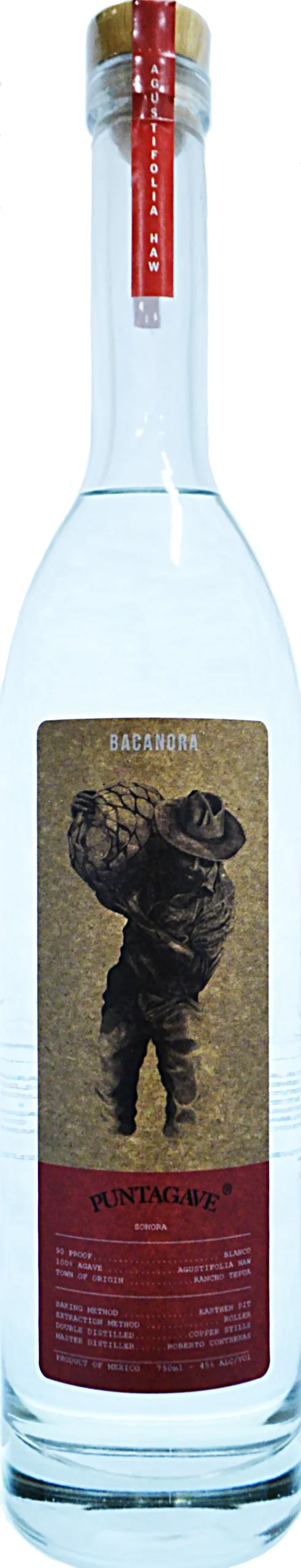 Bacanora Puntagave Sonora Agustifolia Haw Spirit